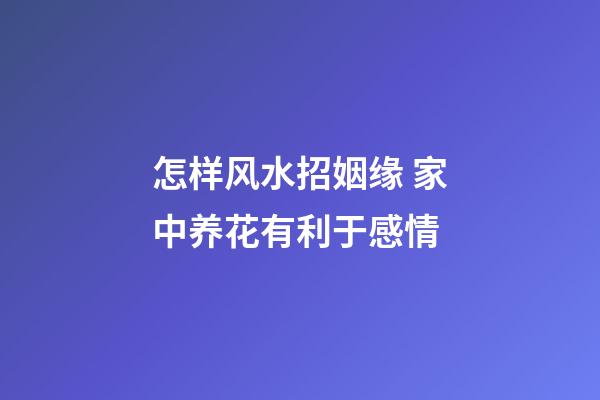 怎样风水招姻缘 家中养花有利于感情